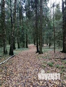 1-к квартира, вторичка, 40м2, 3/9 этаж