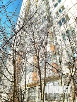 3-к квартира, вторичка, 84м2, 6/25 этаж